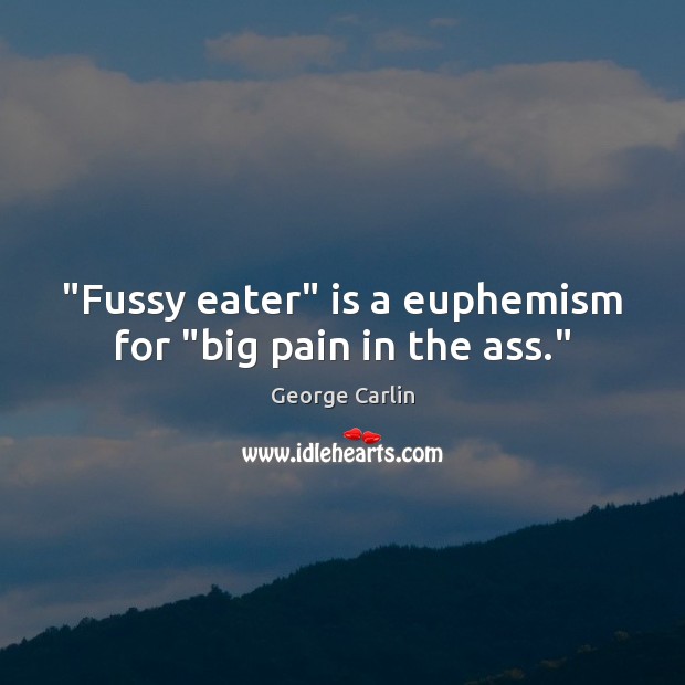 “Fussy eater” is a euphemism for “big pain in the ass.” George Carlin Picture Quote
