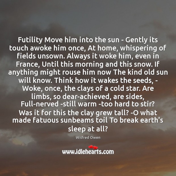 Futility Move him into the sun – Gently its touch awoke him Wilfred Owen Picture Quote