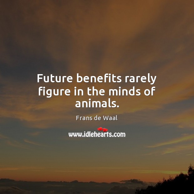 Future benefits rarely figure in the minds of animals. Frans de Waal Picture Quote