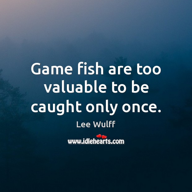 Game fish are too valuable to be caught only once. Image