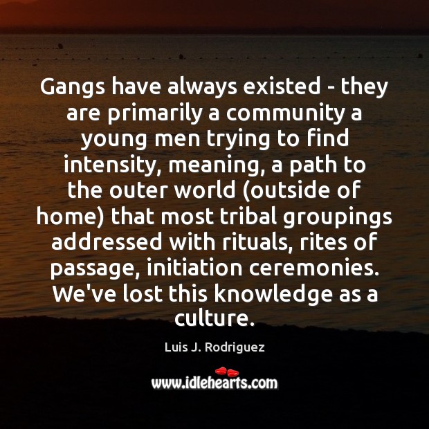 Gangs have always existed – they are primarily a community a young Image