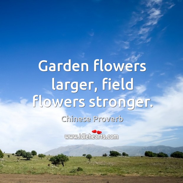 Garden flowers larger, field flowers stronger. Chinese Proverbs Image