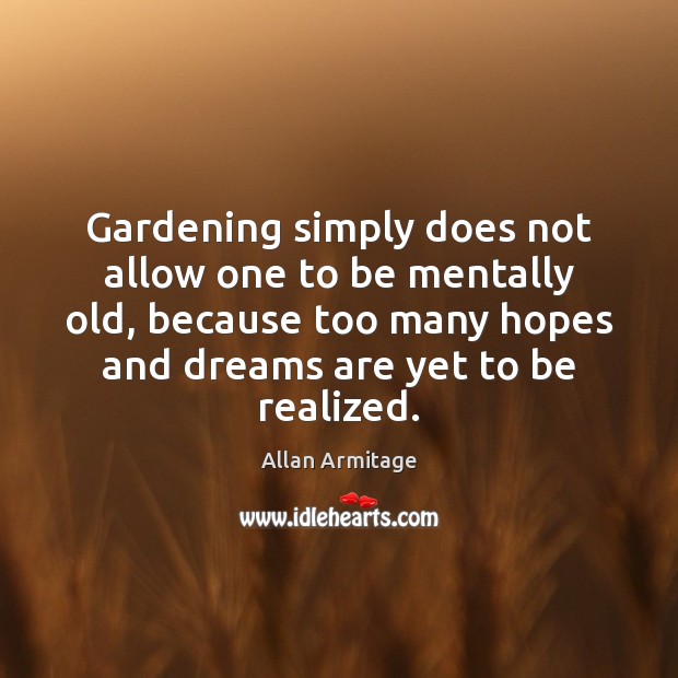 Gardening simply does not allow one to be mentally old, because too Allan Armitage Picture Quote