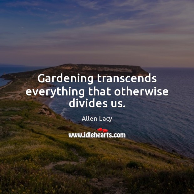 Gardening transcends everything that otherwise divides us. Allen Lacy Picture Quote