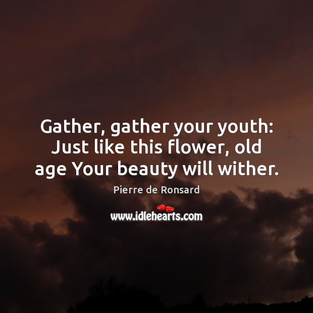 Gather, gather your youth: Just like this flower, old age Your beauty will wither. Image