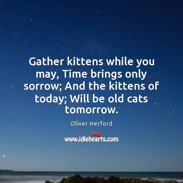 Gather kittens while you may, Time brings only sorrow; And the kittens Oliver Herford Picture Quote