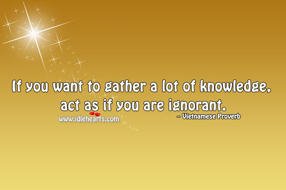 If you want to gather a lot of knowledge, act as if you are ignorant. Vietnamese Proverbs Image