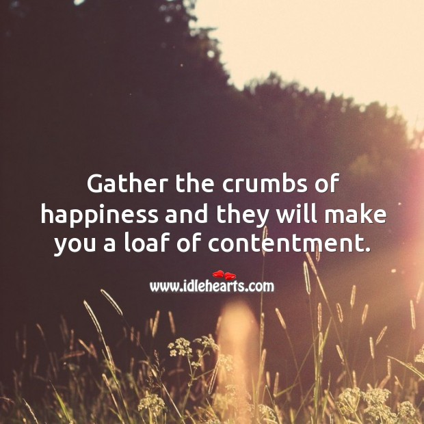 Gather the crumbs of happiness and they will make you a loaf of contentment. Happiness Quotes Image