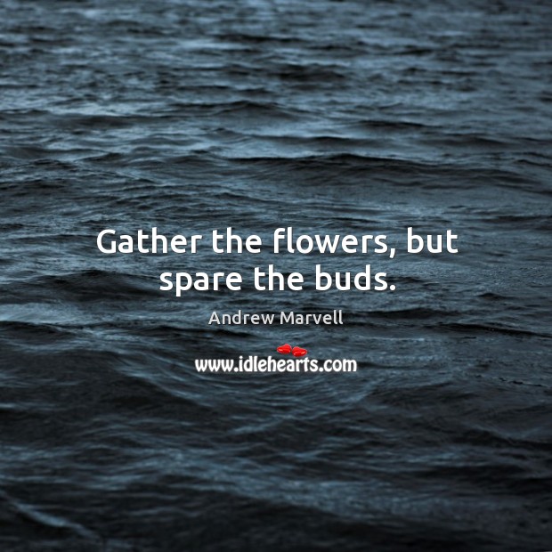 Gather the flowers, but spare the buds. Andrew Marvell Picture Quote