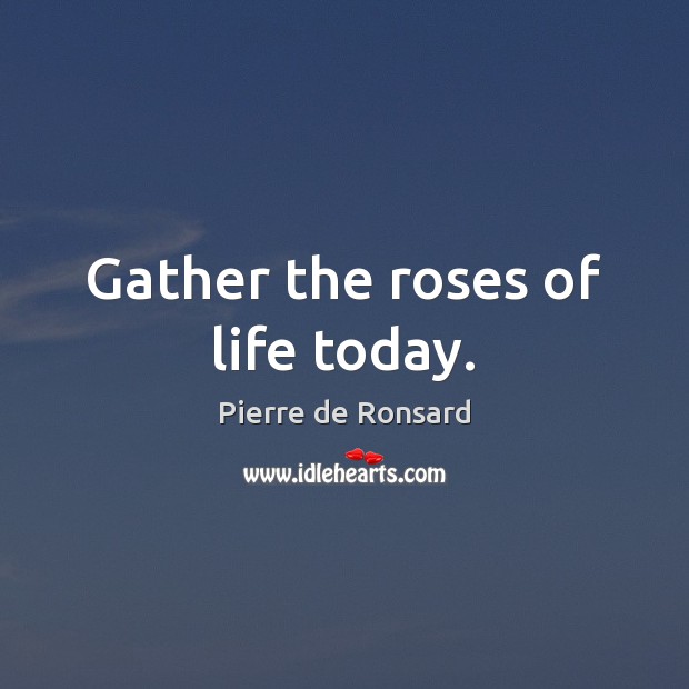 Gather the roses of life today. Pierre de Ronsard Picture Quote