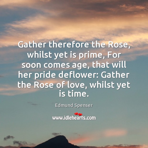 Gather therefore the Rose, whilst yet is prime, For soon comes age, Edmund Spenser Picture Quote