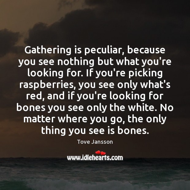 Gathering is peculiar, because you see nothing but what you’re looking for. Tove Jansson Picture Quote