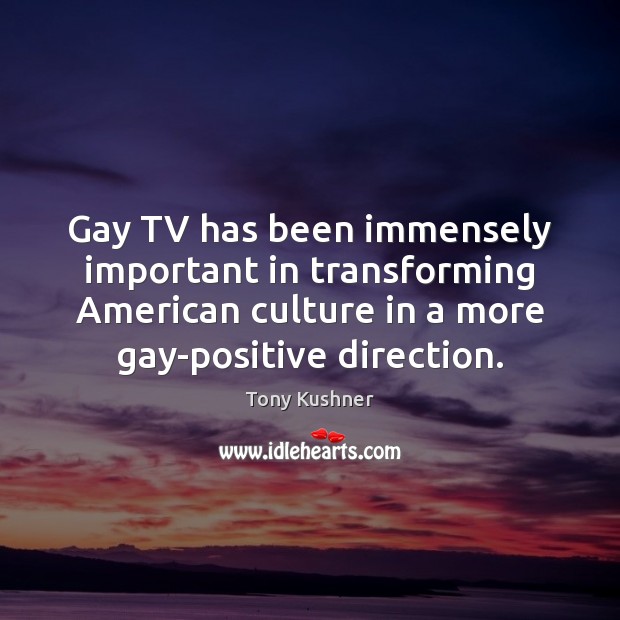 Gay TV has been immensely important in transforming American culture in a 