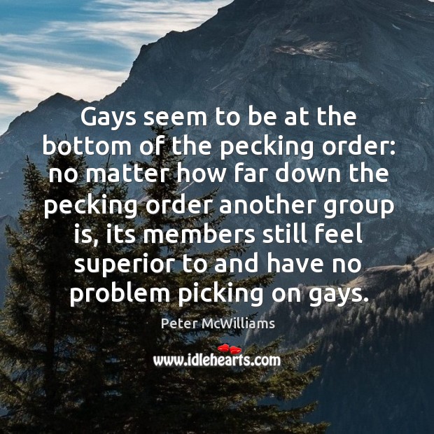 Gays seem to be at the bottom of the pecking order: no Peter McWilliams Picture Quote