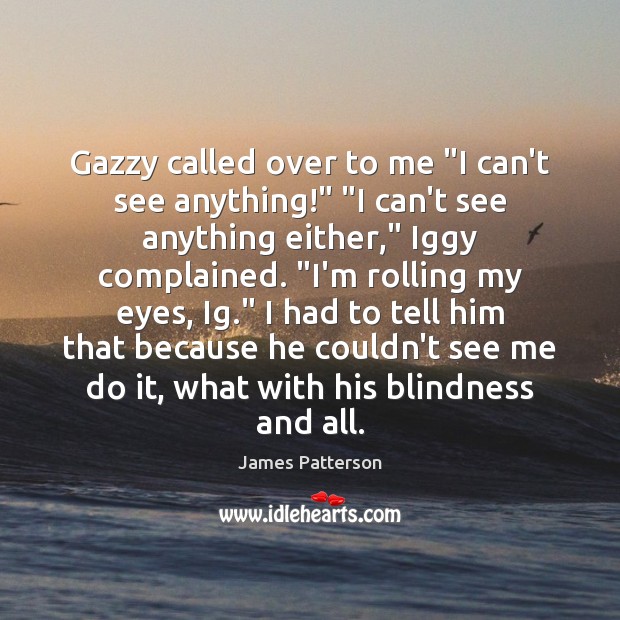 Gazzy called over to me “I can’t see anything!” “I can’t see James Patterson Picture Quote