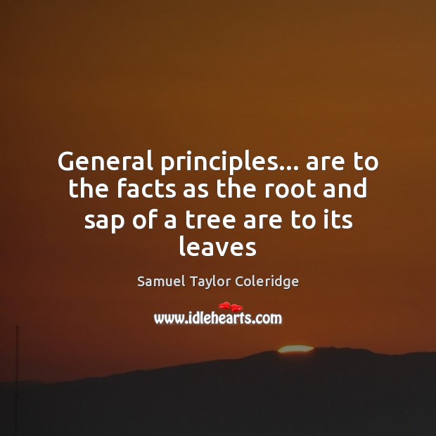 General principles… are to the facts as the root and sap of a tree are to its leaves Samuel Taylor Coleridge Picture Quote