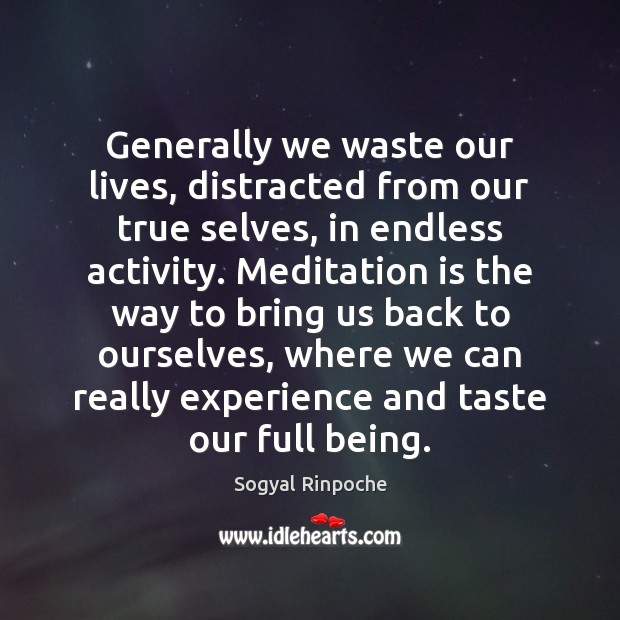 Generally we waste our lives, distracted from our true selves, in endless Sogyal Rinpoche Picture Quote