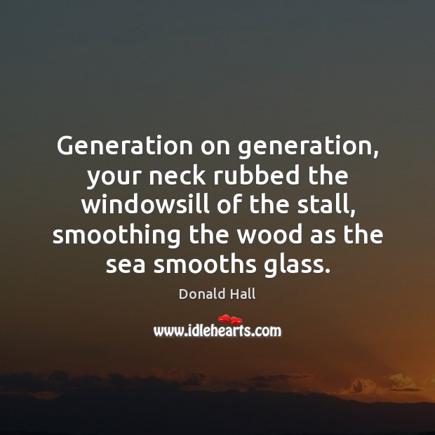 Generation on generation, your neck rubbed the windowsill of the stall, smoothing Donald Hall Picture Quote