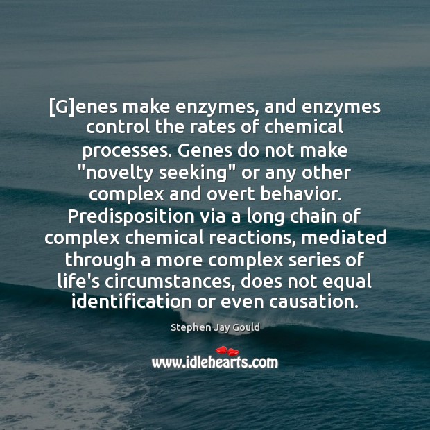 [G]enes make enzymes, and enzymes control the rates of chemical processes. Stephen Jay Gould Picture Quote