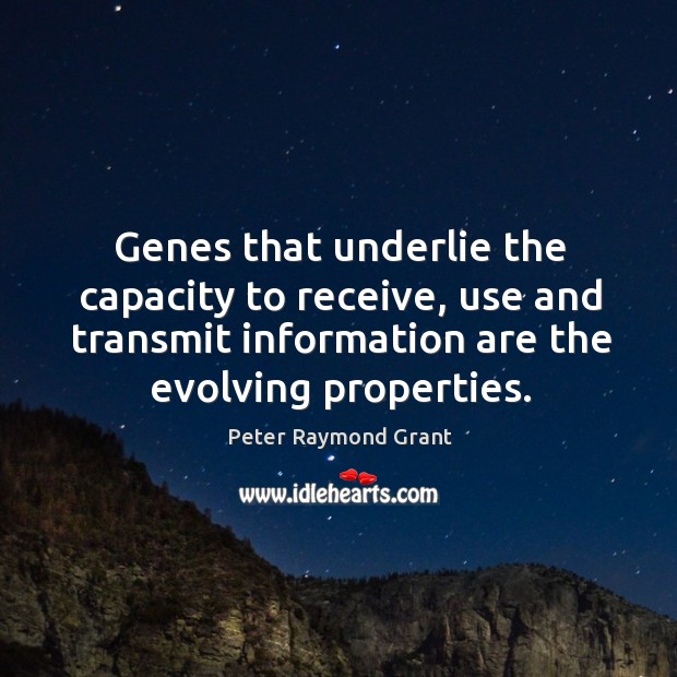 Genes that underlie the capacity to receive, use and transmit information are the evolving properties. Peter Raymond Grant Picture Quote