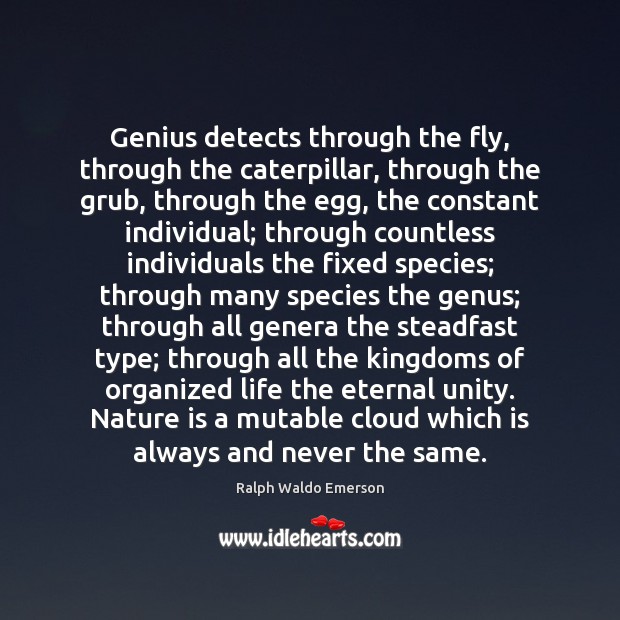 Genius detects through the fly, through the caterpillar, through the grub, through Image