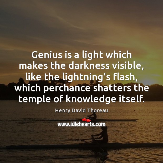 Genius is a light which makes the darkness visible, like the lightning’s Image