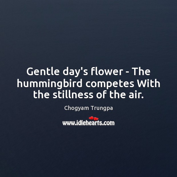 Gentle day’s flower – The hummingbird competes With the stillness of the air. Chogyam Trungpa Picture Quote