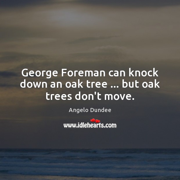 George Foreman can knock down an oak tree … but oak trees don’t move. Image