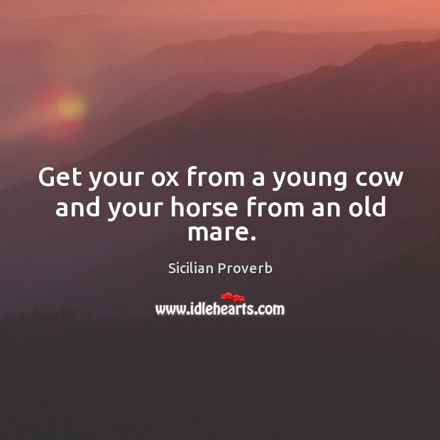 Get your ox from a young cow and your horse from an old mare. Sicilian Proverbs Image