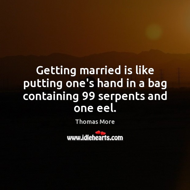 Getting married is like putting one’s hand in a bag containing 99 serpents and one eel. Thomas More Picture Quote