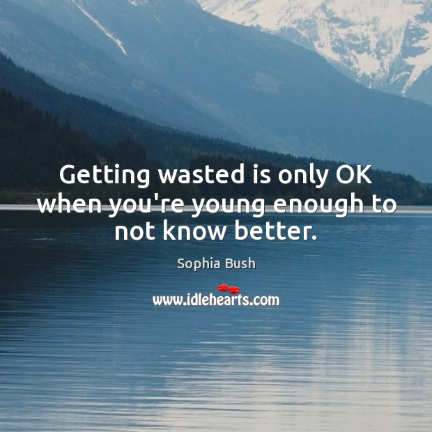 Getting wasted is only OK when you’re young enough to not know better. Sophia Bush Picture Quote