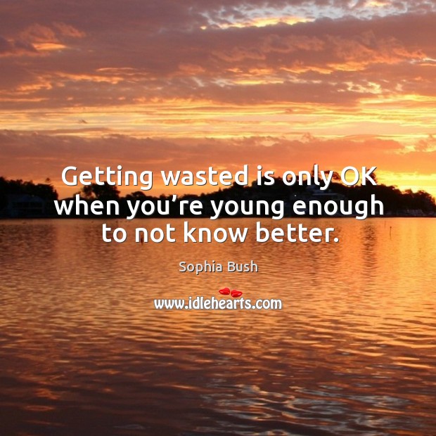 Getting wasted is only ok when you’re young enough to not know better. Sophia Bush Picture Quote