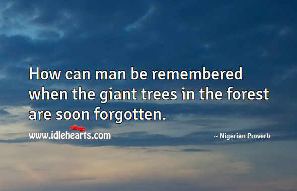 How can man be remembered when the giant trees in the forest are soon forgotten. Nigerian Proverbs Image
