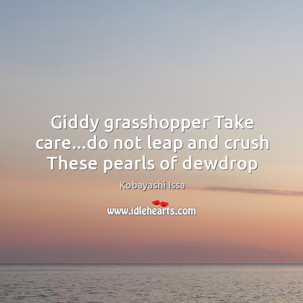Giddy grasshopper Take care…do not leap and crush These pearls of dewdrop Image