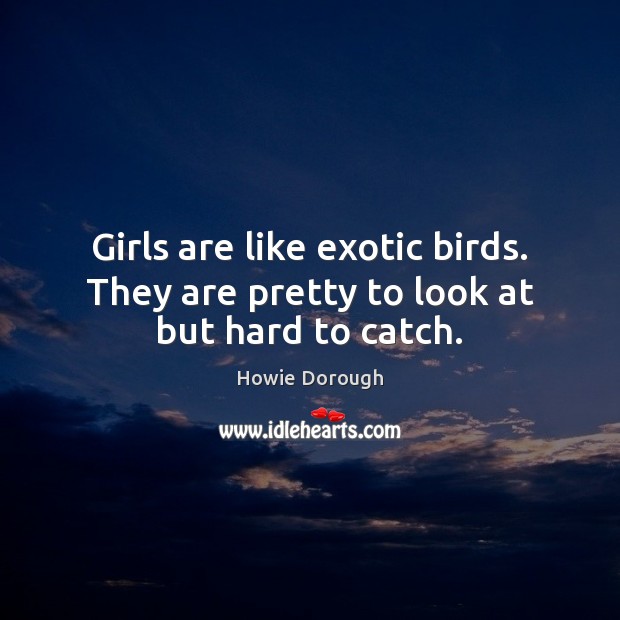 Girls are like exotic birds. They are pretty to look at but hard to catch. Howie Dorough Picture Quote