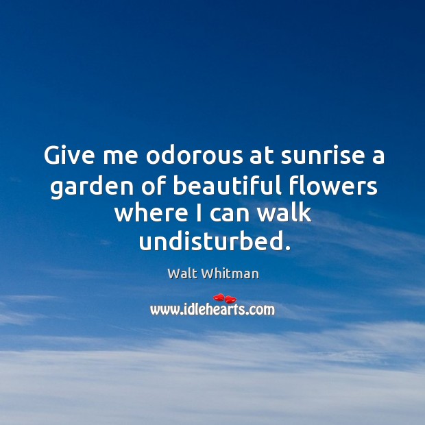 Give me odorous at sunrise a garden of beautiful flowers where I can walk undisturbed. Walt Whitman Picture Quote
