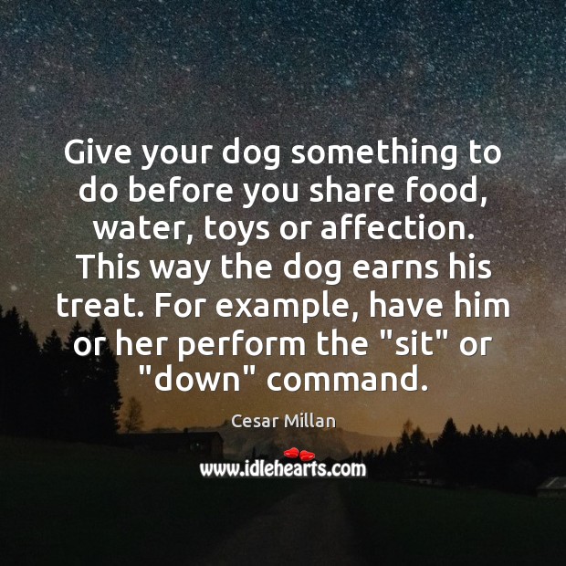 Give your dog something to do before you share food, water, toys Cesar Millan Picture Quote
