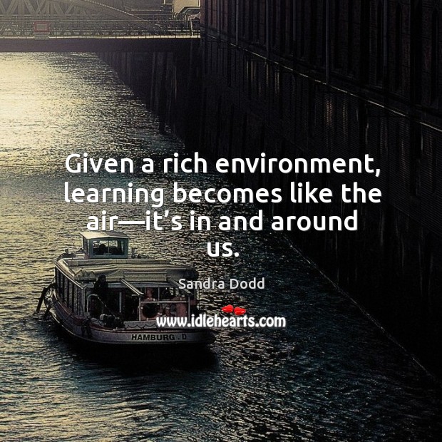 Given a rich environment, learning becomes like the air—it’s in and around us. Sandra Dodd Picture Quote