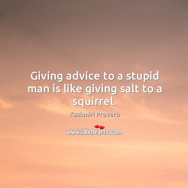 Giving advice to a stupid man is like giving salt to a squirrel. Kashmiri Proverbs Image