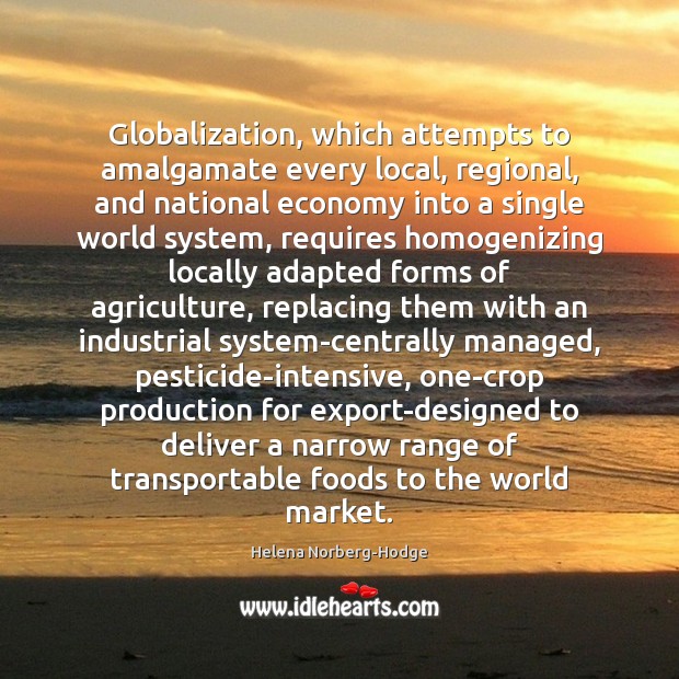 Globalization, which attempts to amalgamate every local, regional, and national economy into Helena Norberg-Hodge Picture Quote