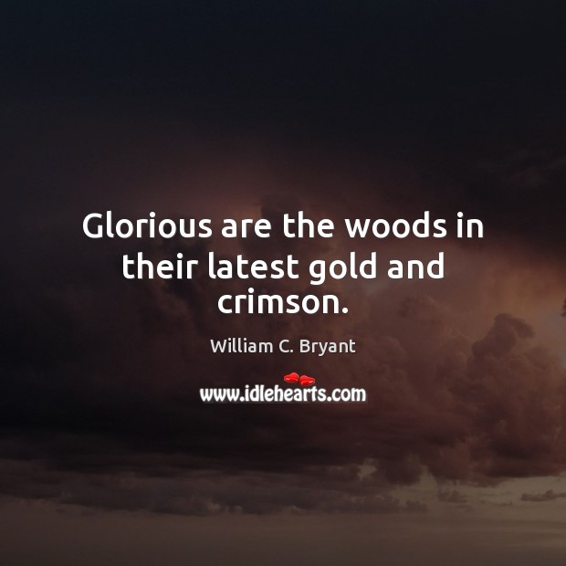 Glorious are the woods in their latest gold and crimson. William C. Bryant Picture Quote