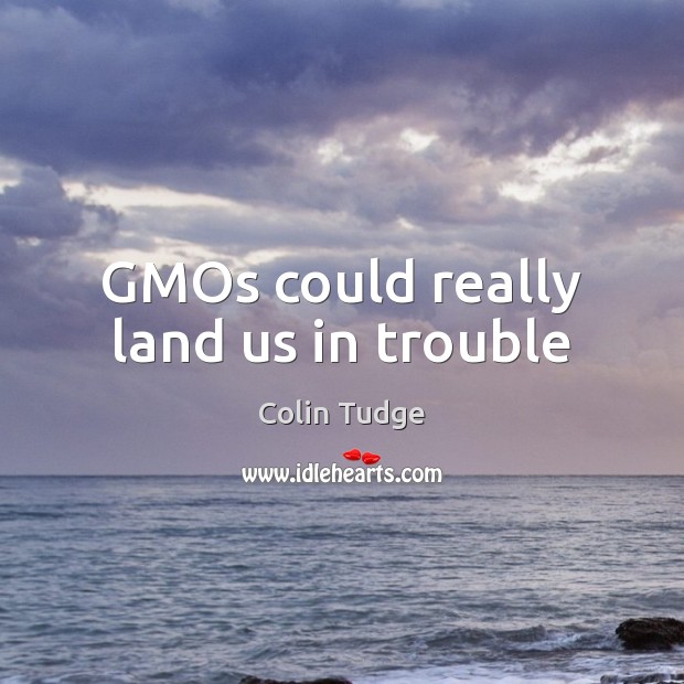 GMOs could really land us in trouble Colin Tudge Picture Quote