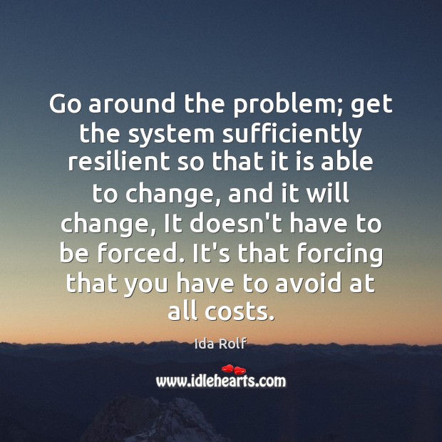 Go around the problem; get the system sufficiently resilient so that it Ida Rolf Picture Quote