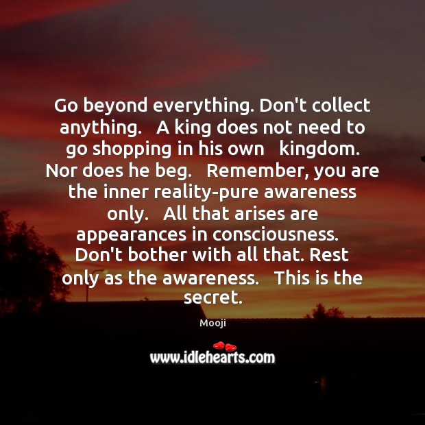 Go beyond everything. Don’t collect anything.   A king does not need to Reality Quotes Image