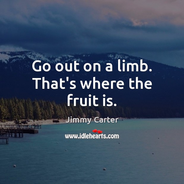 Go out on a limb. That’s where the fruit is. Jimmy Carter Picture Quote