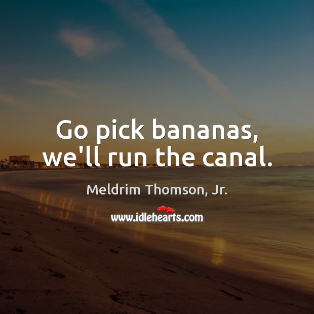 Go pick bananas, we’ll run the canal. 