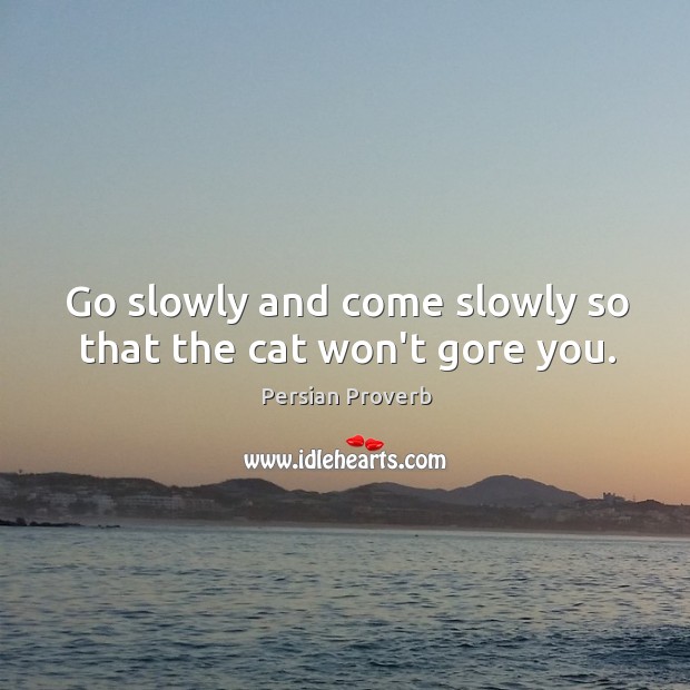 Go slowly and come slowly so that the cat won’t gore you. Image