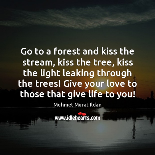 Go to a forest and kiss the stream, kiss the tree, kiss Mehmet Murat Ildan Picture Quote