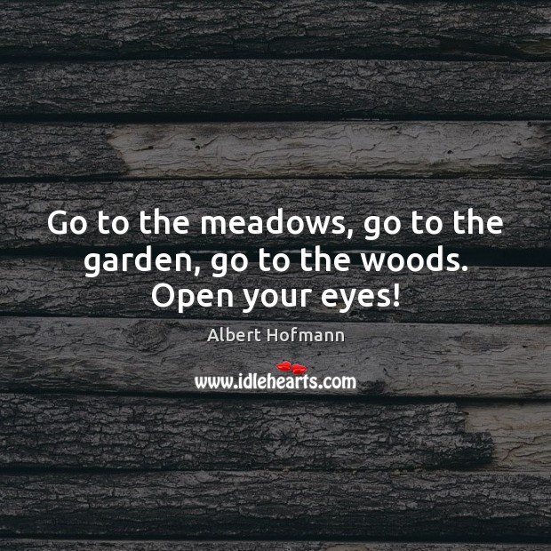 Go to the meadows, go to the garden, go to the woods. Open your eyes! Albert Hofmann Picture Quote