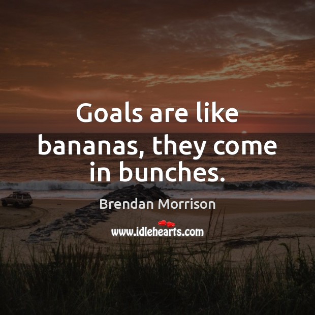Goals are like bananas, they come in bunches. Brendan Morrison Picture Quote